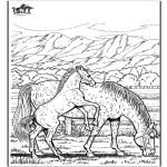 Disegni da colorare Animali - Cavallo 6